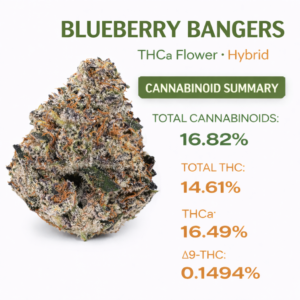 BLUEBERRY BANGERS