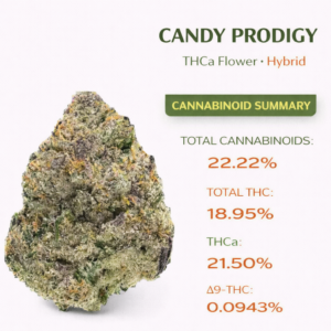 Candy Prodigy (smalls)