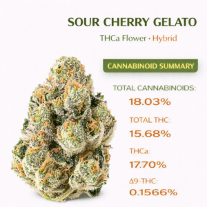 Sour Cherry Gelato